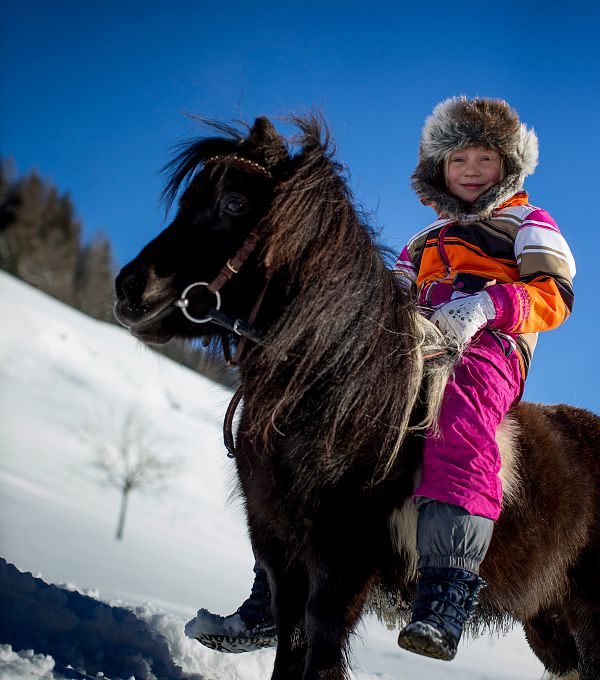 Sleigh rides & winter horse-riding